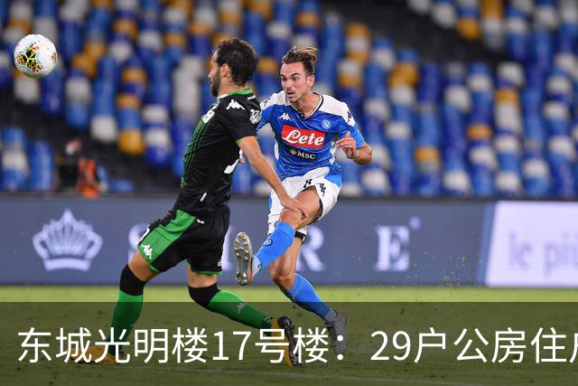 东城光明楼17号楼：29户公房住户凑钱把楼拆了重建
