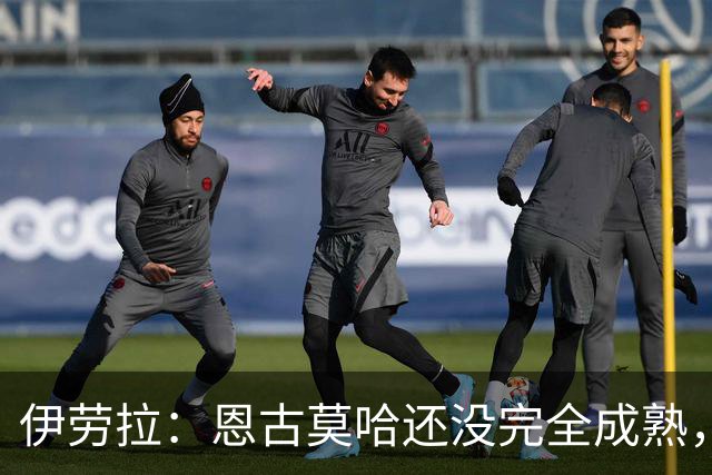 伊劳拉：恩古莫哈还没完全成熟，他还能继续吸收补充新的技能