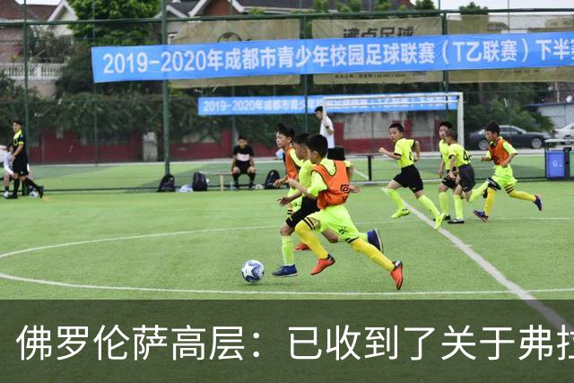 佛罗伦萨高层：已收到了关于弗拉霍维奇的报价