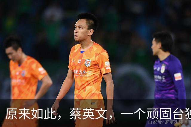 原来如此，蔡英文，一个顽固台独老妇女，不婚不育是有原因的！