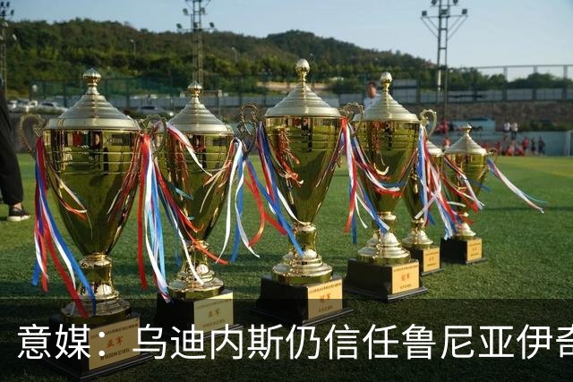 意媒：乌迪内斯仍信任鲁尼亚伊奇，接下来的两场比赛是关键