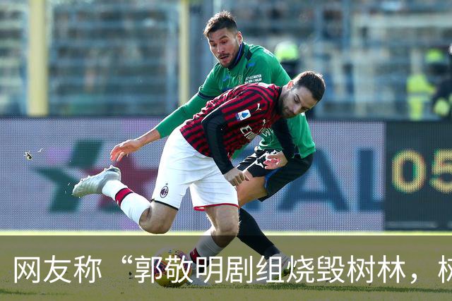 网友称“郭敬明剧组烧毁树林，树干呈黑灰色、倒塌在地”，当地回应：政府全程监管，相关画面是布景，剧组没有破坏生态