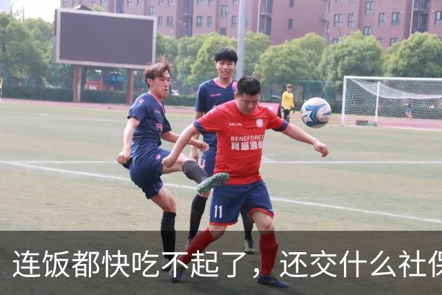 连饭都快吃不起了，还交什么社保？说这话的人，非蠢即坏
