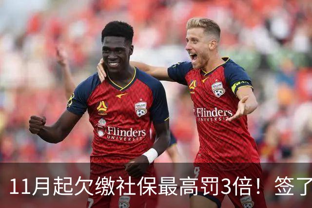 11月起欠缴社保最高罚3倍！签了“自愿放弃”协议也没用，网友：早该这样